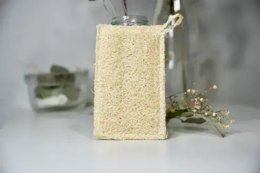 EPONGE  EN LUFFA - 100% VEGETALE & BIODEGRADABLE